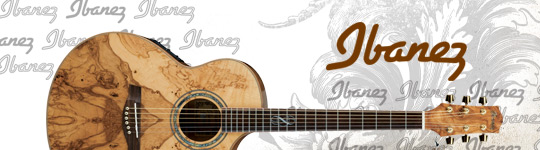 Ibanez acoustic guitars at Nottingham Drum and Guitar Centre