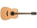 Ibanez AW250-LG