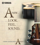 Yamaha A Series guitars at Nottingham drum and guitar centre