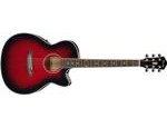 Ibanez AEG8E