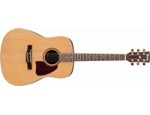 Ibanez AW15