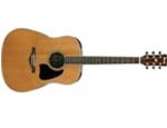 Ibanez AW370-NT