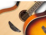 Electro-Acoustic Guitars