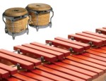 Latin & Orchestral Percussion Books