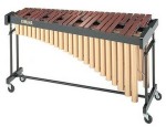 Orchestral Percussion