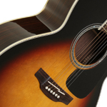 Takamine Acoustic Guitars